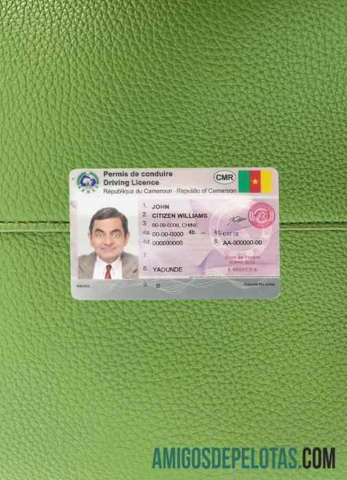 Camarões DL fotovisual frontal exemplo